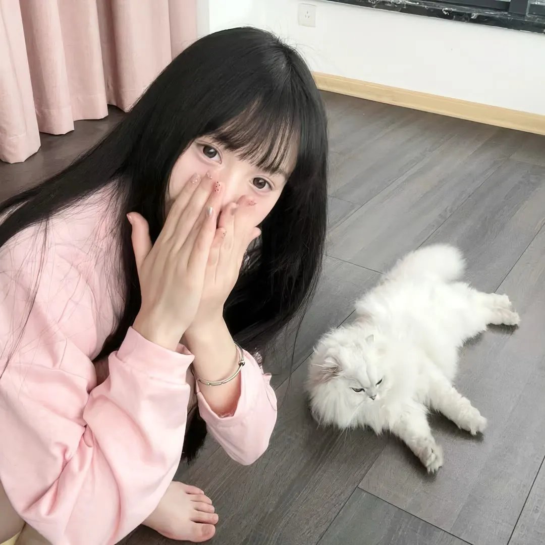 奇怪的搭档日本版